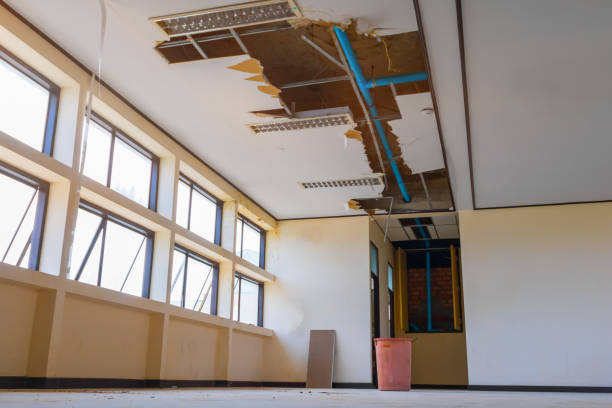 Best Carpet water damage restoration  in West Homestead, PA