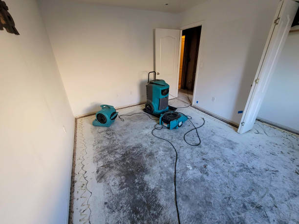 Best Commercial water damage restoration  in West Homestead, PA
