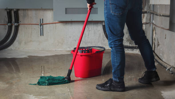Best Ceiling water damage repair  in West Homestead, PA