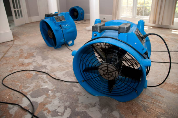 Best Professional water damage repair  in West Homestead, PA