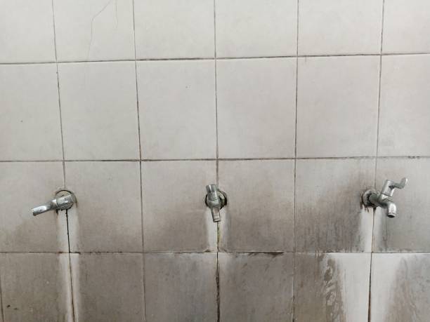 Best Water damage restoration near me  in West Homestead, PA