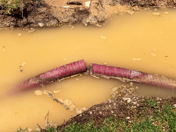 Best Basement water damage restoration  in West Homestead, PA